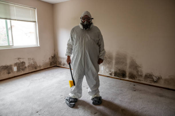 Certified Mold Removal in Kennewick, WA